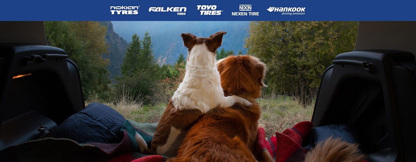 No Stress With Point S